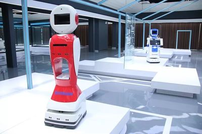 工業(yè)機器人迎來“阜陽造”新紀元 正式投產引領智能機器人研發(fā)新浪潮